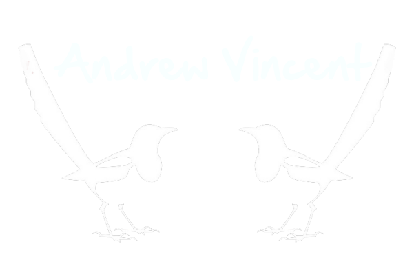 andrew vincent photography